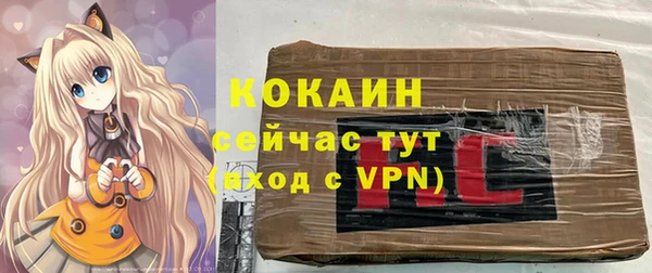 амф Аркадак