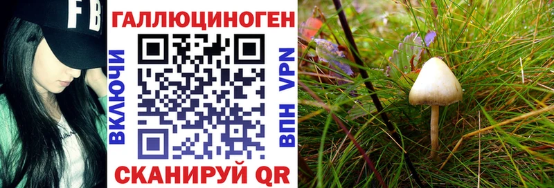 Псилоцибиновые грибы MAGIC MUSHROOMS  МЕГА сайт  Сланцы 
